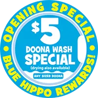 Pacific Epping Grand Opening — $5 Wash