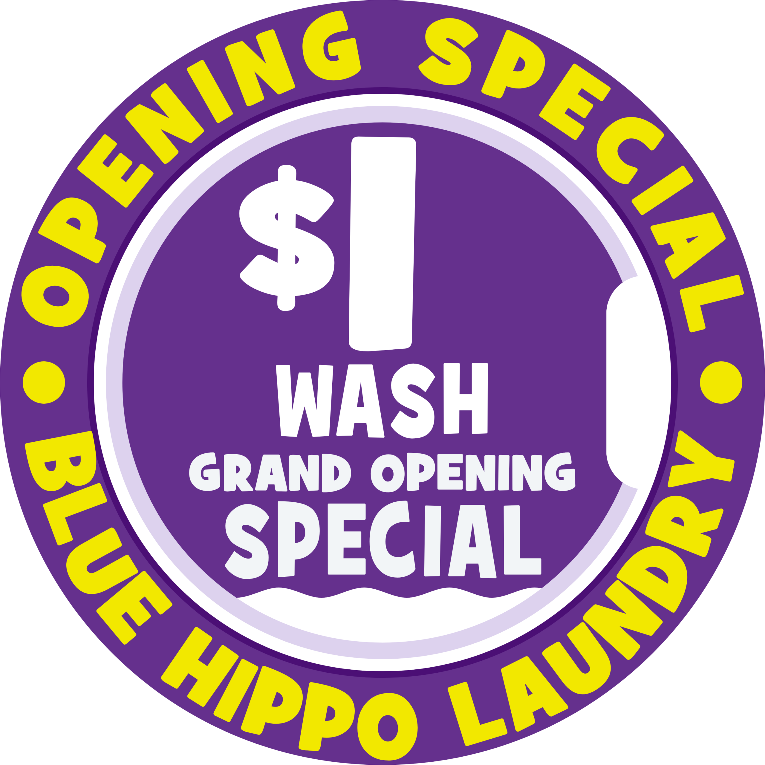 Stanhope Gardens – NSW First Blue Hippo – $1 Wash